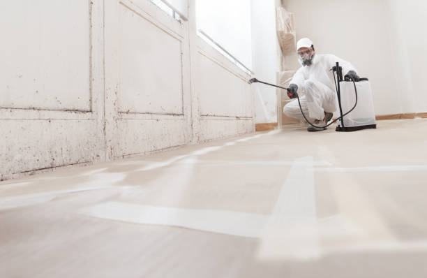 Black mold remediation team in Blue Point